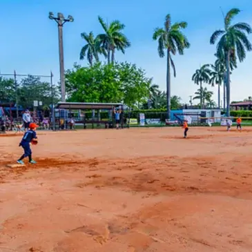 baseball.webp